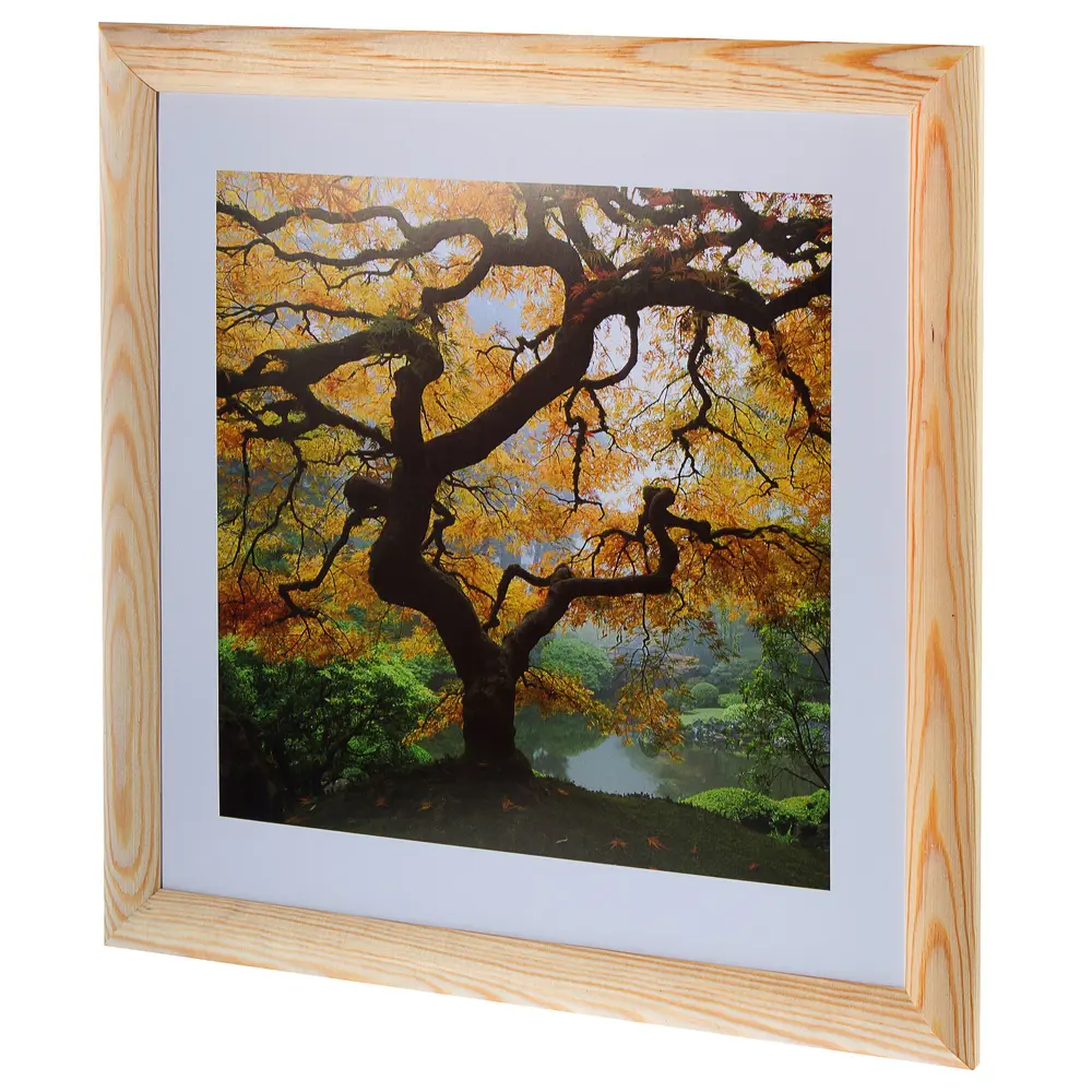 Постер в раме 40х40 см «Осенний Клен» Santreyd STLM-2089825 - Вид №1