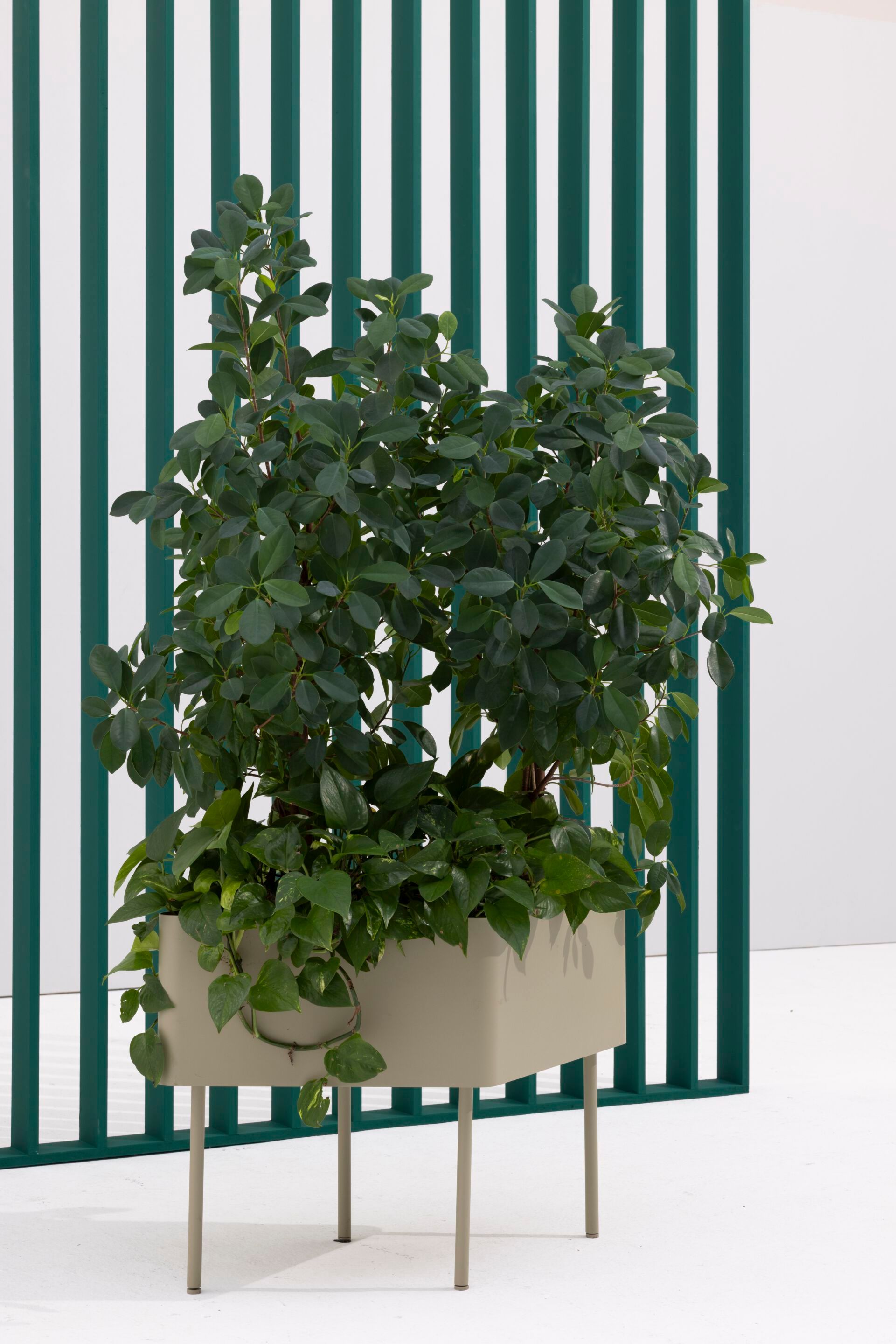 Стальная подставка для горшков с порошковым покрытием Cascando ROMBO ARCH-00071423 - Вид №3