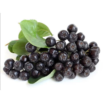 Рябина черноплодная ~250 г Santreyd 24701