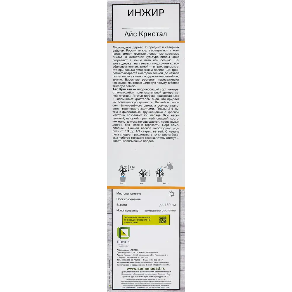 Инжир Айс Кристал h40 см 86543985 STLM-2023235 Santreyd  - Вид №2