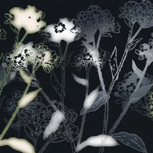 8-898-Bellezza Фотообои Komar Vol.15 2.54х3.68 м