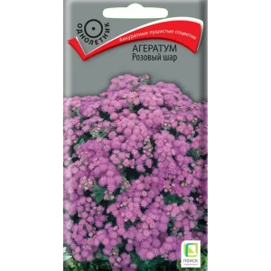 Агератум Розовая королева от ПОИСК - нежные соцветия для сада 89401216