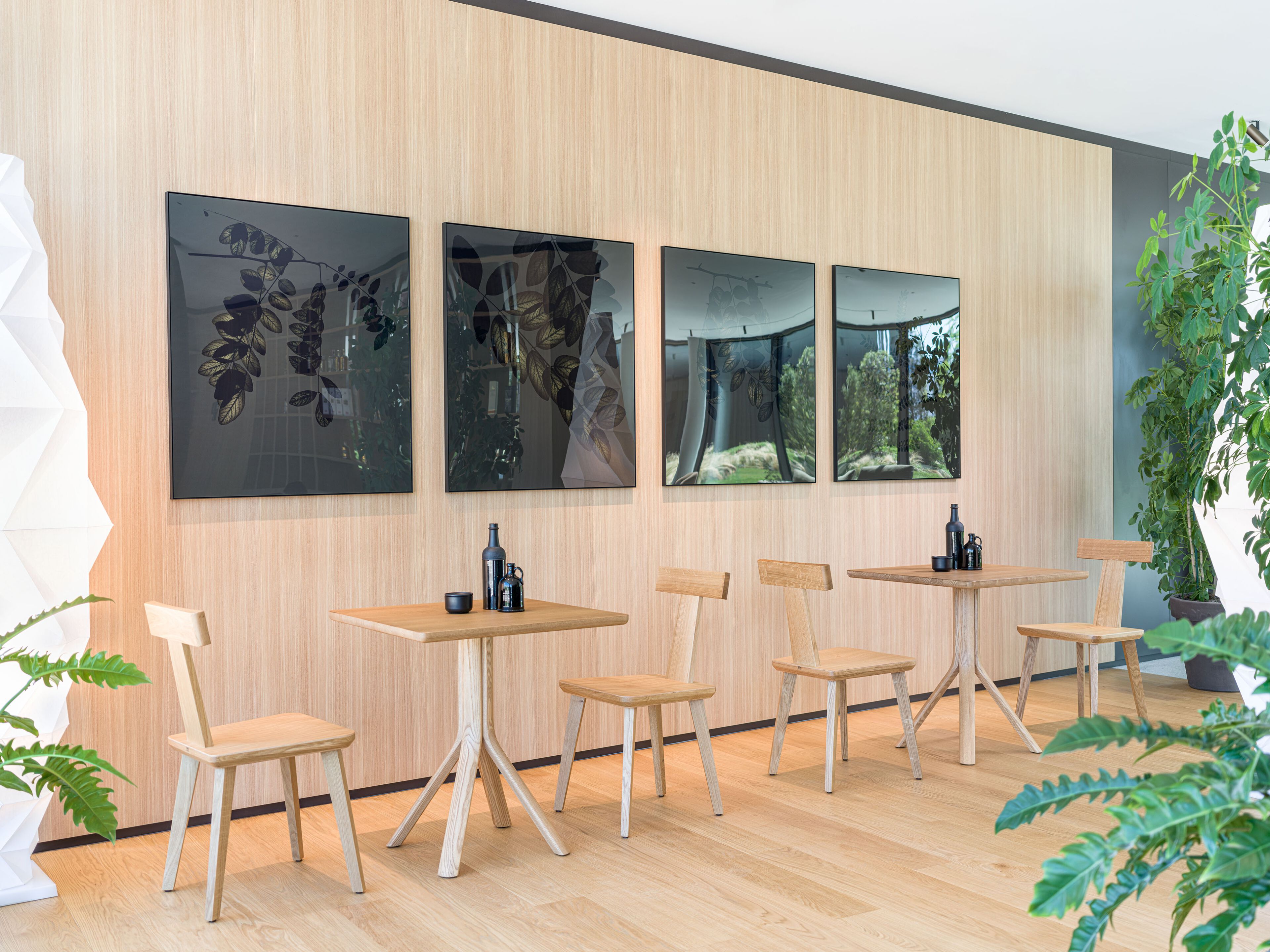 Деревянный стул с мягким сиденьем SIPA T Coffee ARCH-00042585 - Вид №5