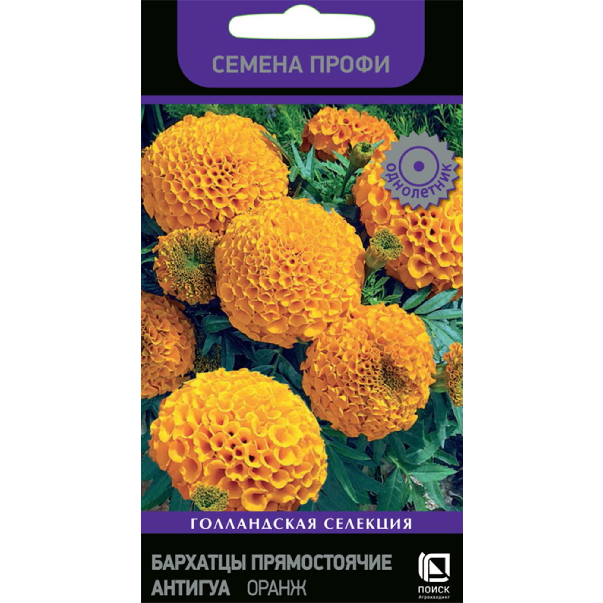 Бархатцы Антигуа Оранж от ПОИСК - 15 семян для солнечного сада 83577547 STLM-0041949