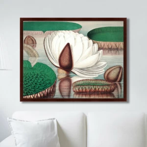 Картина в раме 78,5х100 см Opening of a gigantic water lily, 1870г. КАРТИНЫ В КВАРТИРУ  264210 Зеленый;коричневый;разноцветный