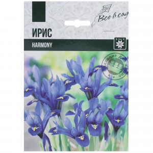82004068 Ирис сетчатый «Гармония»