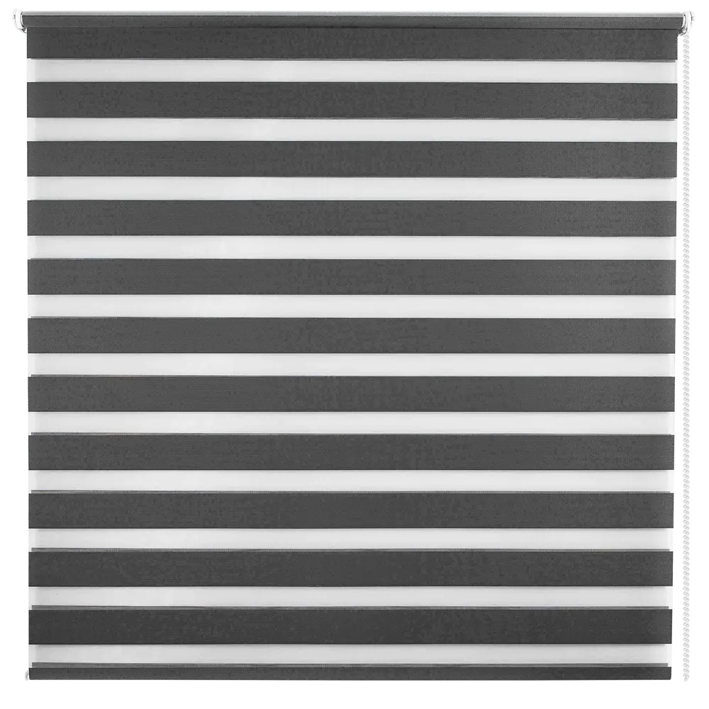 Штора рулонная день-ночь Silver 160x175 см графит Santreyd Д/Н SILVER STLM-2014692
