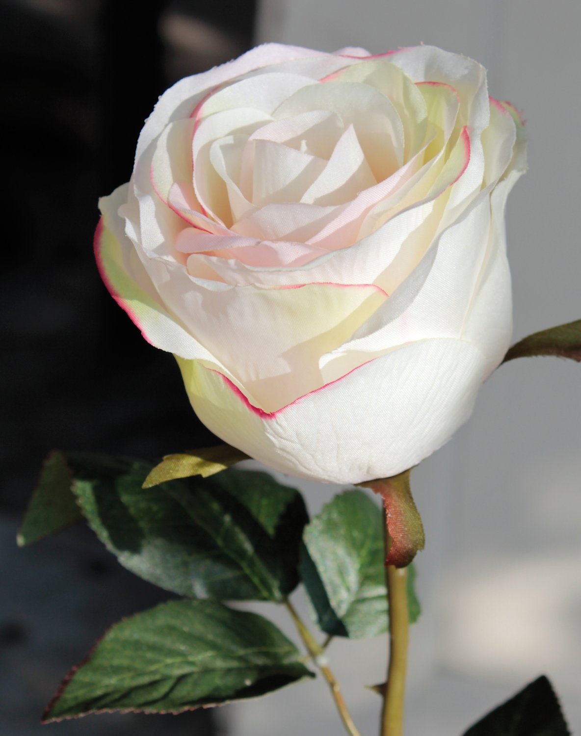 9816 755 a3 Искусственная роза, 90 см, бежево-розовая H-andreas  - Вид №1