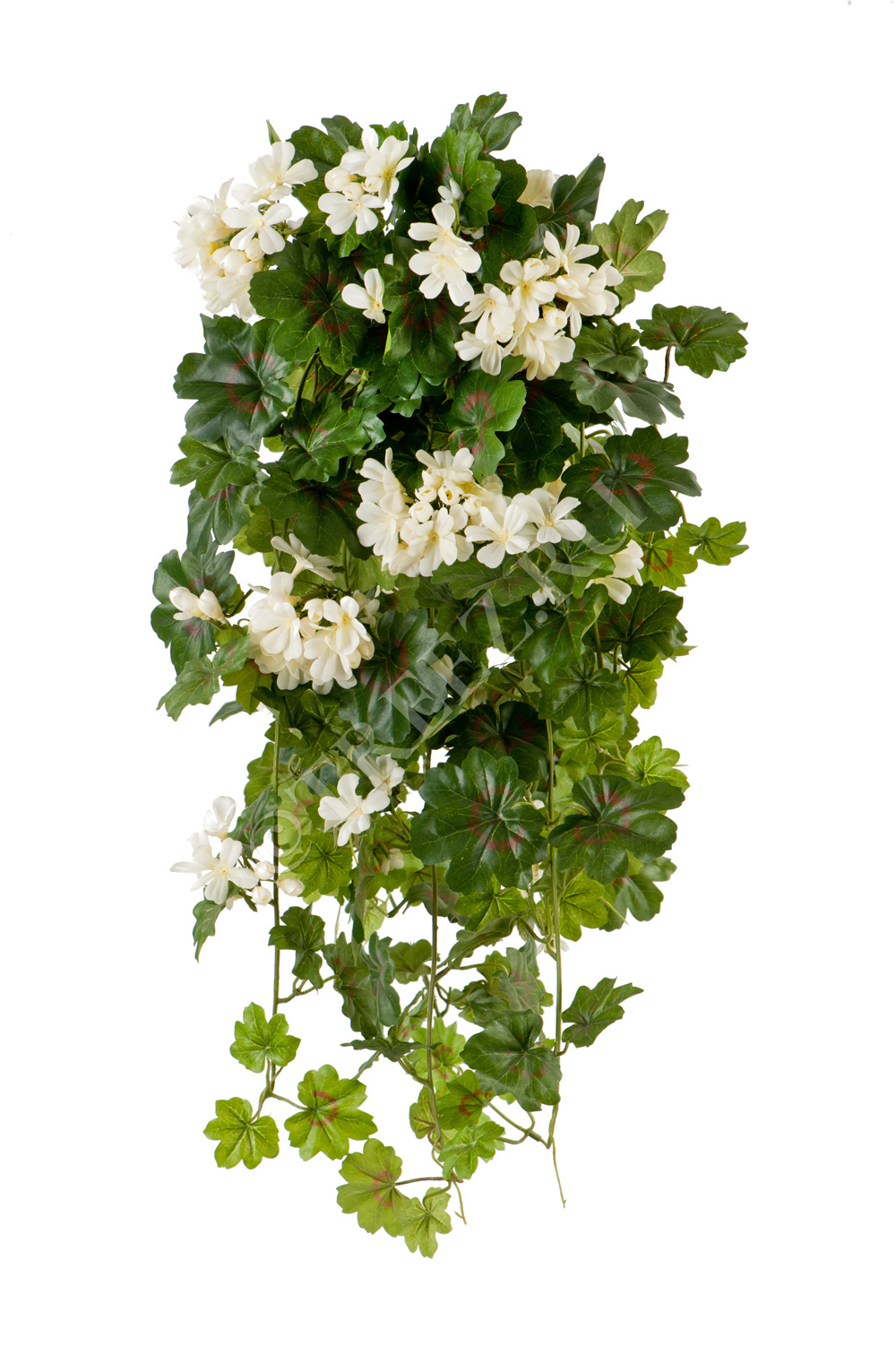 20.1090CR Герань ампельная кремовая Цветочная коллекция 