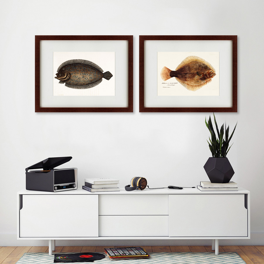 Литография на тонированной бумаге 47х60 см Southern Pacific fish illustration, 1850 КАРТИНЫ В КВАРТИРУ  135741 Бежевый;белый;черный;разноцветный  - Вид №2