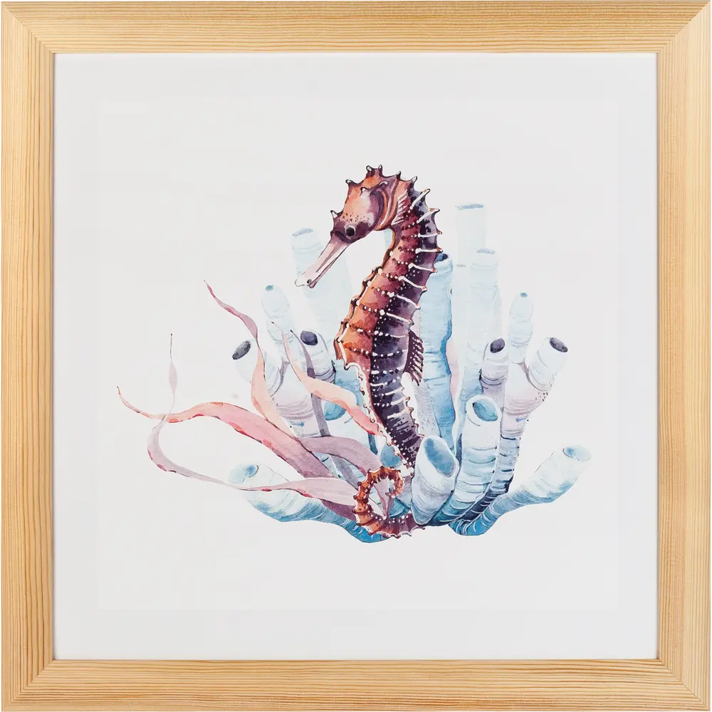 Постер в раме 40х40 см «Морской конек» Santreyd STLM-2017143