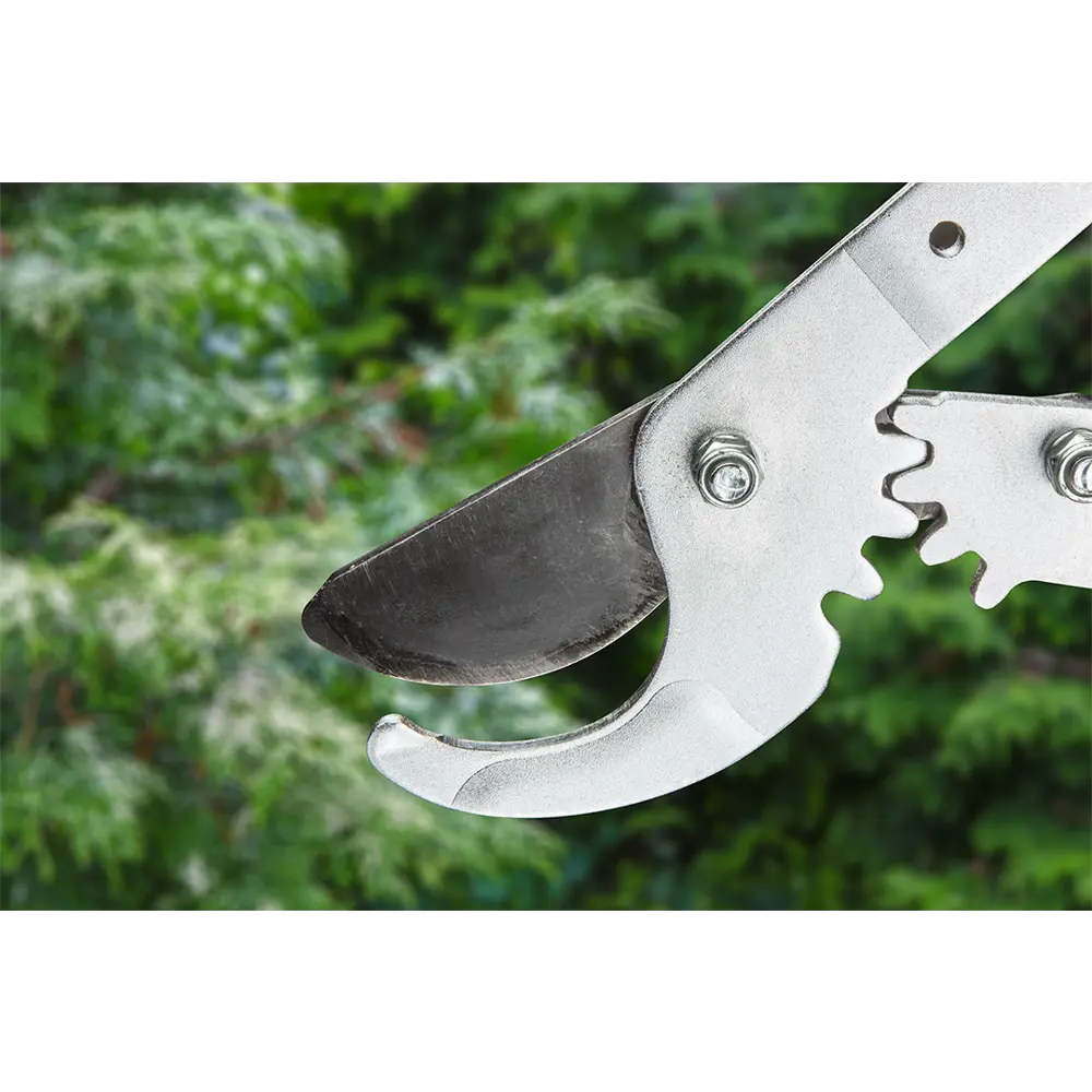 Сучкорез садовый Verto универсальный ø42 мм 69 см алюминий STLM-2031393 - Вид №2