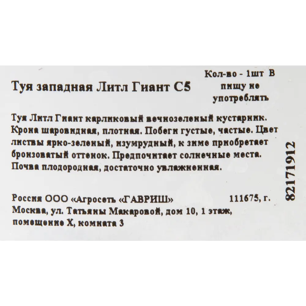 Туя западная «Литл Гиант» C7.5 ГАВРИШ STLM-2201745 - Вид №1