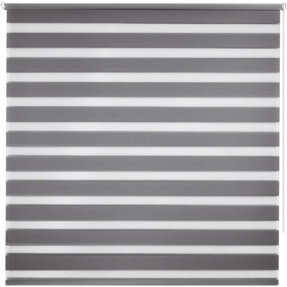 Штора рулонная день-ночь Silver 160x175 см серая Santreyd Д/Н SILVER STLM-2101889