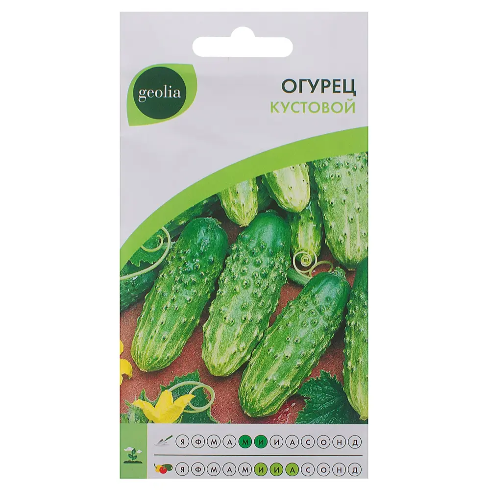 Семена огурца GEOLIA Кустовой - компактный сорт для небольших участков 17584794 STLM-0008325