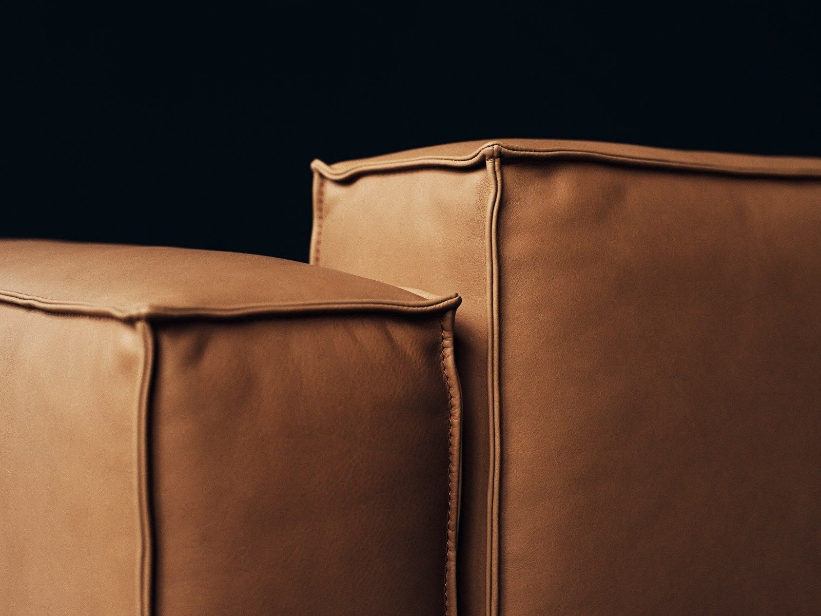 Кожаный диван de Sede DS-21 ARCH-00023987 - Вид №5