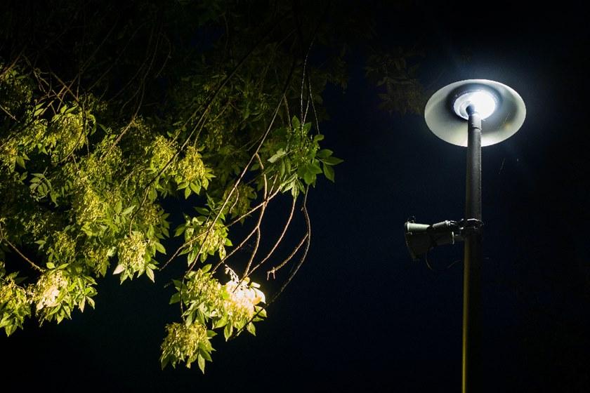 iGuzzini Светодиодная головка полюса из литого под давлением алюминия Twilight sun-id-1356203 - Вид №4