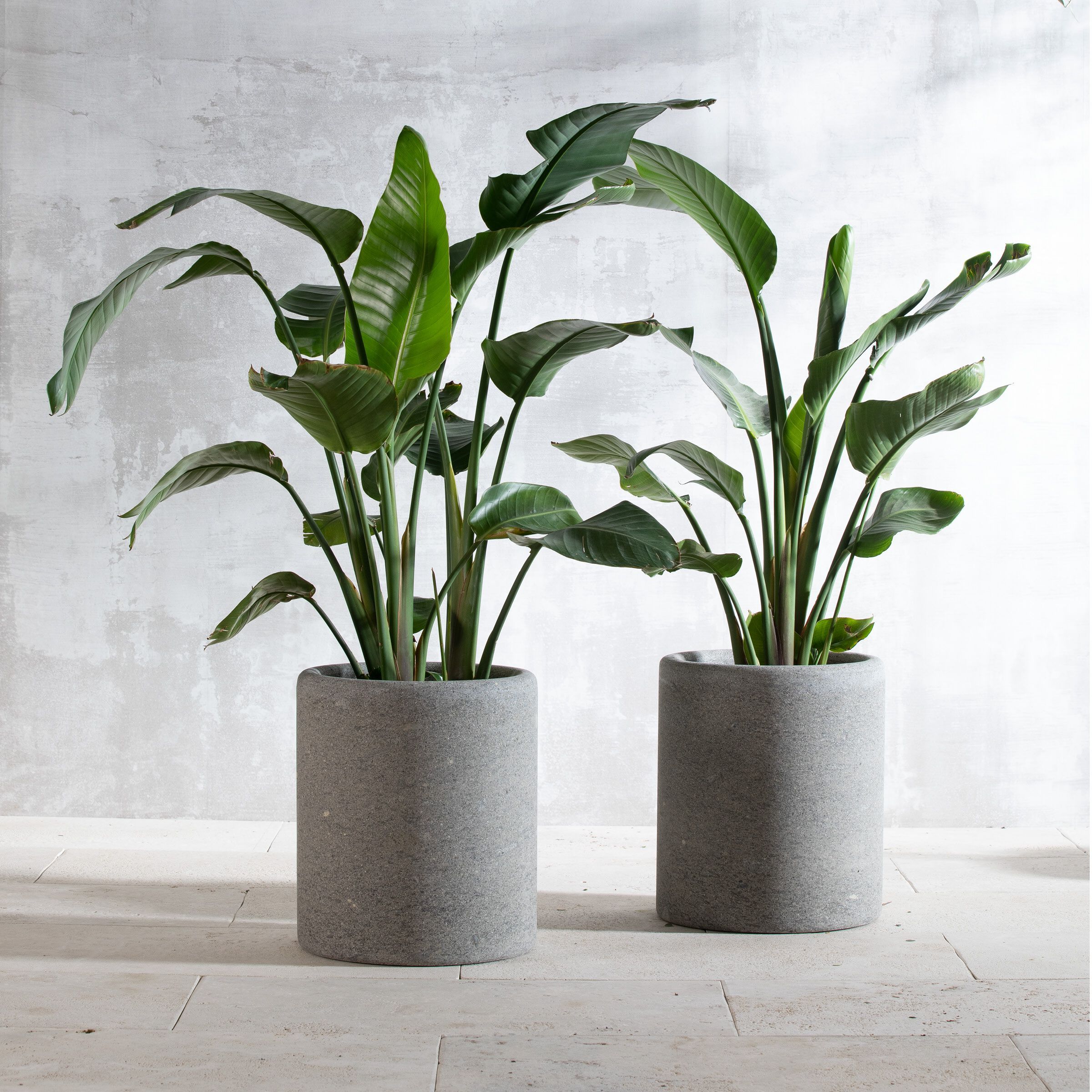 Круглый садовый горшок из пеперино VELTHA® Lapis ARCH-00047464 - Вид №1