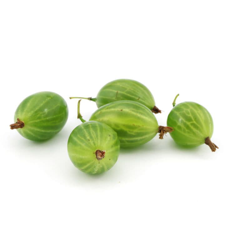 Крыжовник зелёный Santreyd 5059 - Вид №1