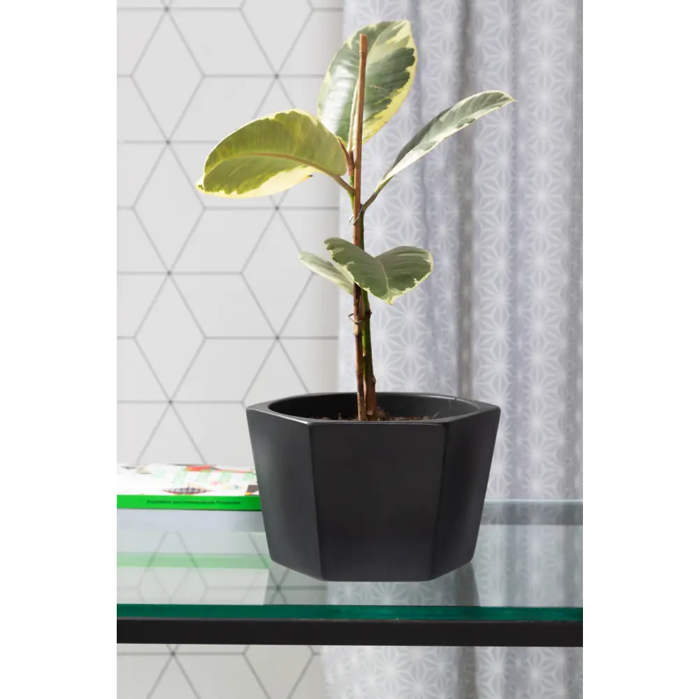 Кашпо Эджес ø22 h14 см v2 л керамика чёрный Santreyd STLM-2171447 - Вид №3