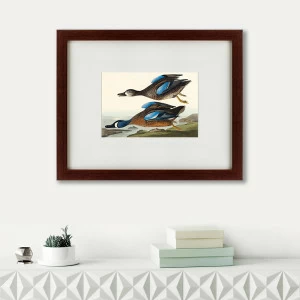 Картина: Blue-winged Teal, 1836 КАРТИНЫ В КВАРТИРУ  191721 Разноцветный
