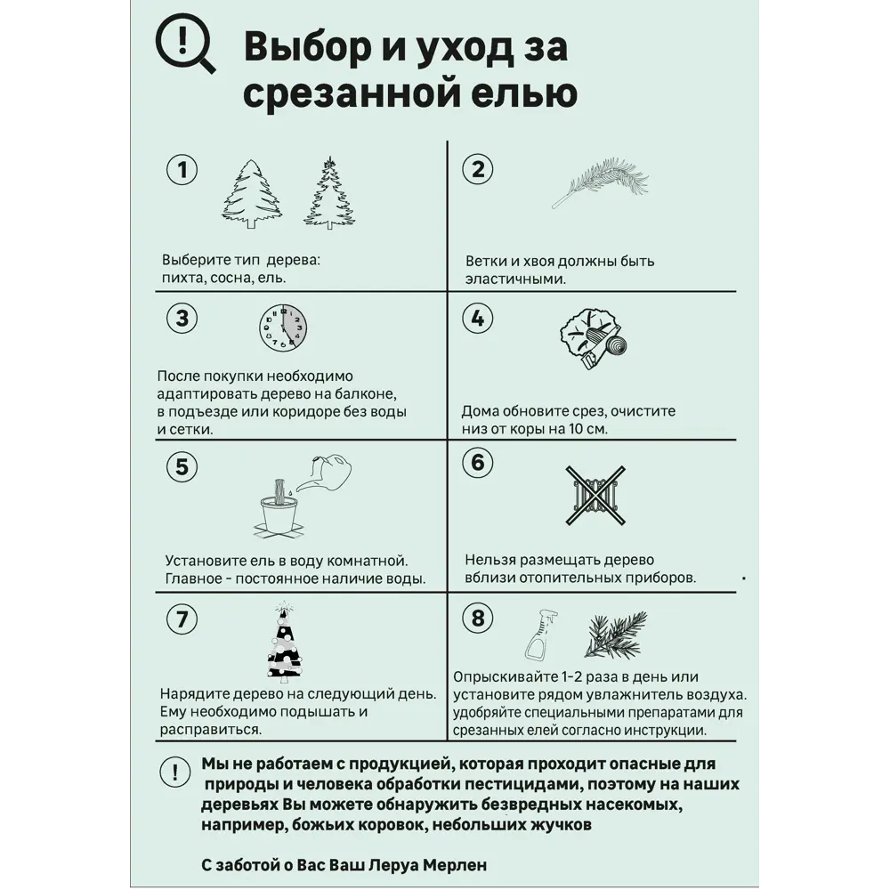 Пихта Фразера h175-200 см 89341923 STLM-2020264 Santreyd  - Вид №3
