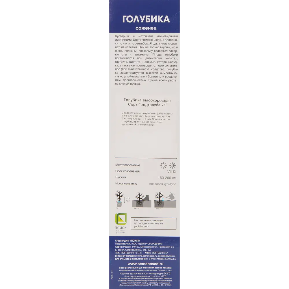 Голубика высокорослая «Голдтраубе 71» 81951320 STLM-2044229 Santreyd  - Вид №2