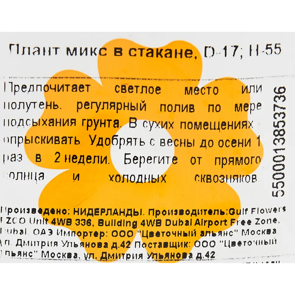 Плант микс More Lips 17x55 см 82771291 STLM-2025486 MORELIPS  - Вид №2