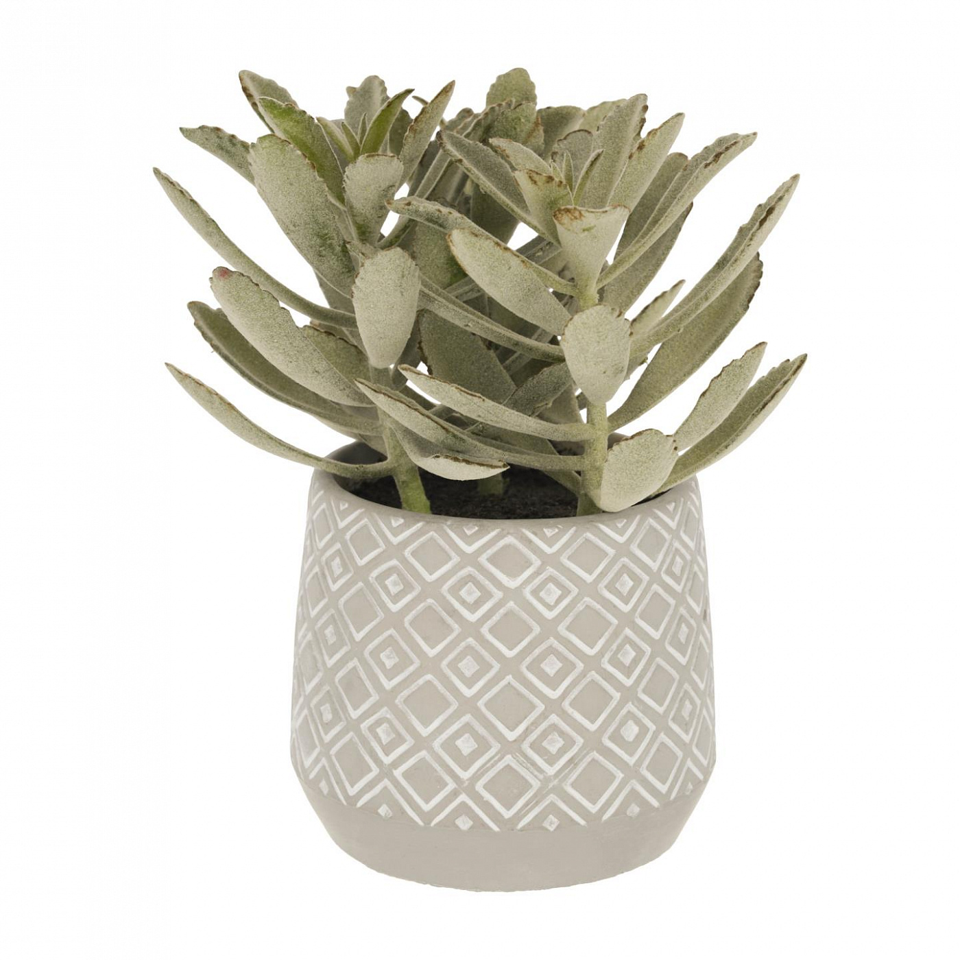 081758 Flower Искусственный суккулент в горшочке из цемента 24см La Forma Kalanchoe  - Вид №1