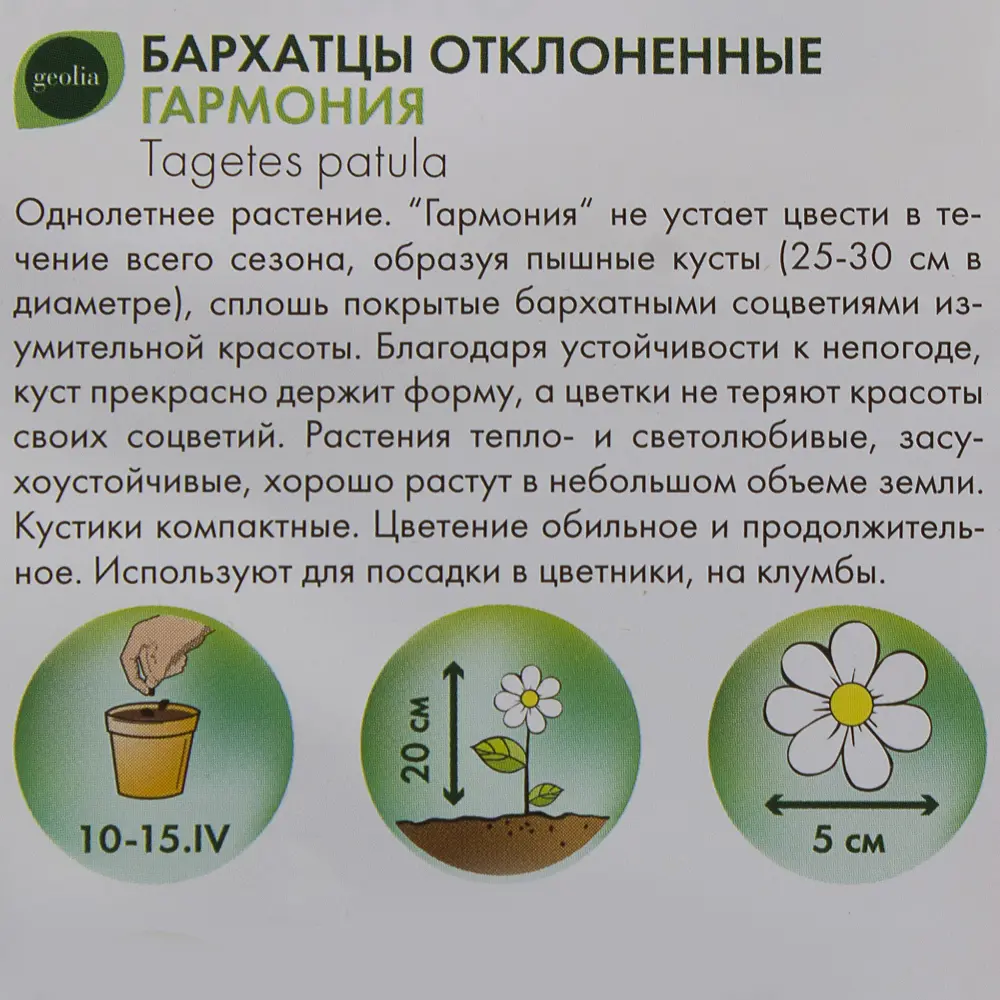 Бархатцы GEOLIA «Гармония» — красно-оранжевые с жёлтой сердцевиной 17585519 STLM-0956217 - Вид №2