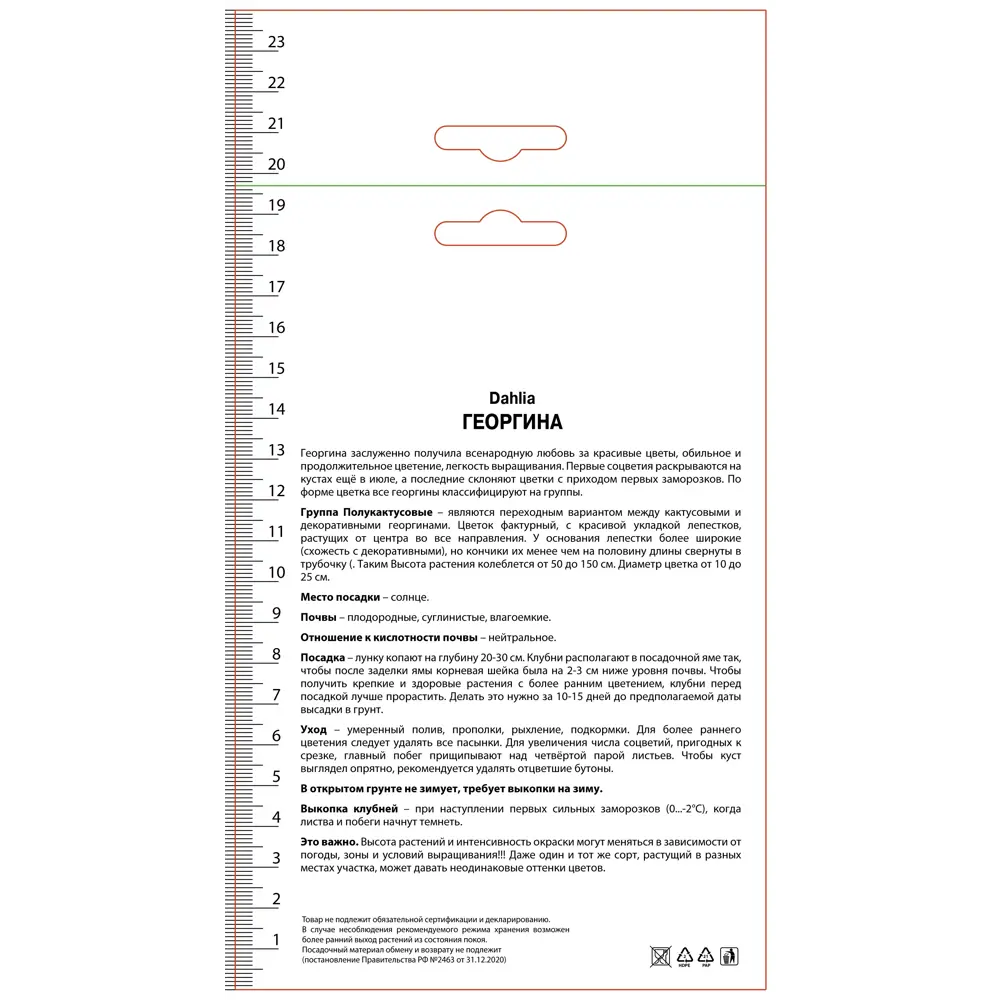 Георгина полукактусовая Электрик Флеш 89452211 STLM-2099347 ПОИСК  - Вид №1