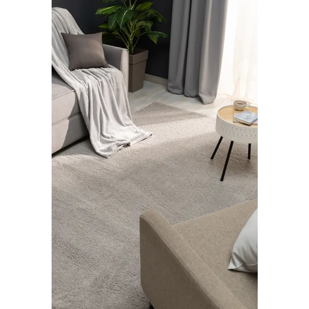Ковер полиэстер Ribera 200x300 см цвет светло-серый 82388120 STLM-2061592 Santreyd  - Вид №5