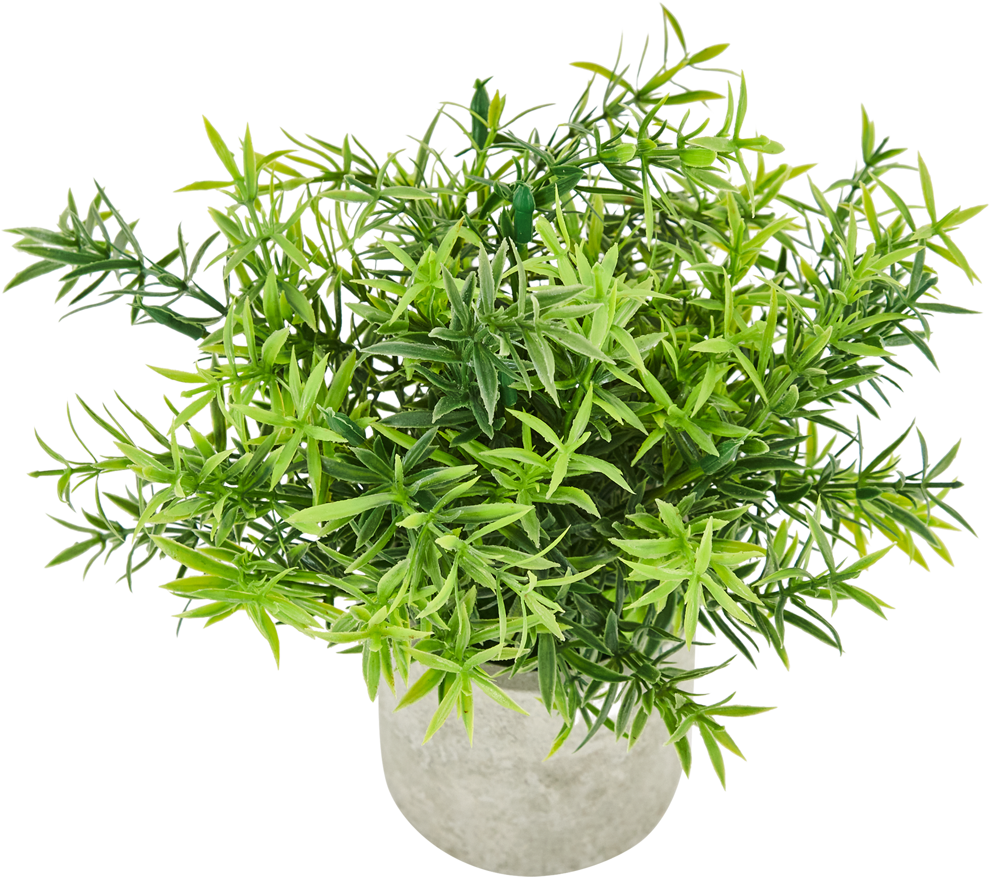85826010 Искусственное растение Розмарин h22 см STLM-0065532 Santreyd 