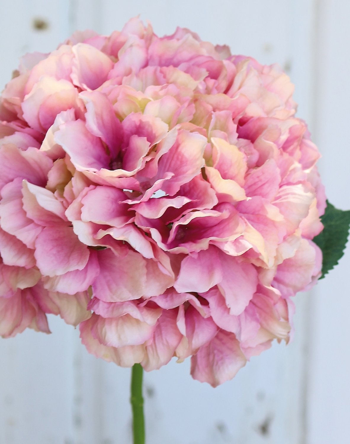 9901 510 a3 Гортензия искусственная, 40 см, розовая H-andreas  - Вид №2