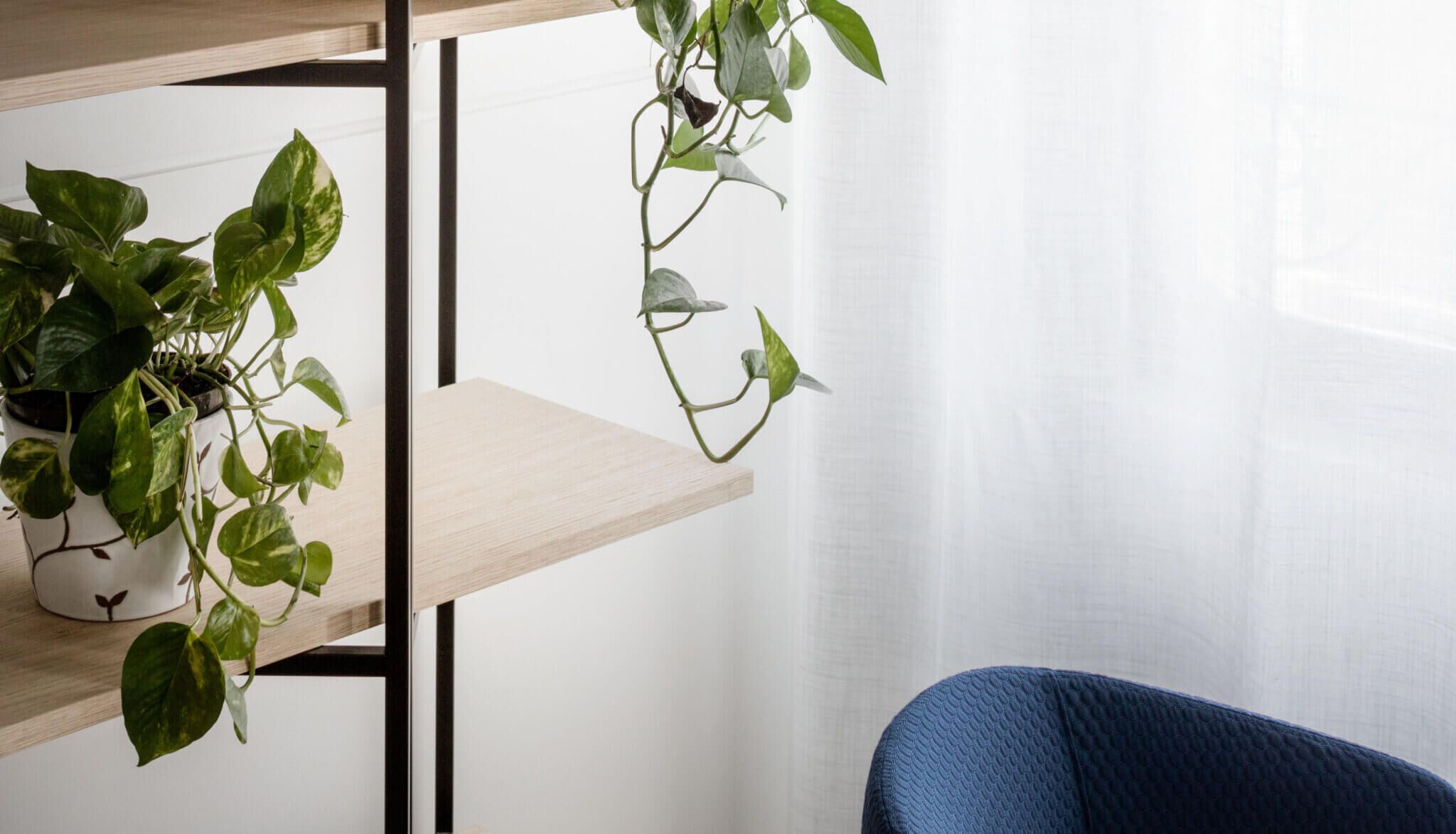 Отдельно стоящий секционный книжный шкаф True Design Ethrio ARCH-00057073 - Вид №8