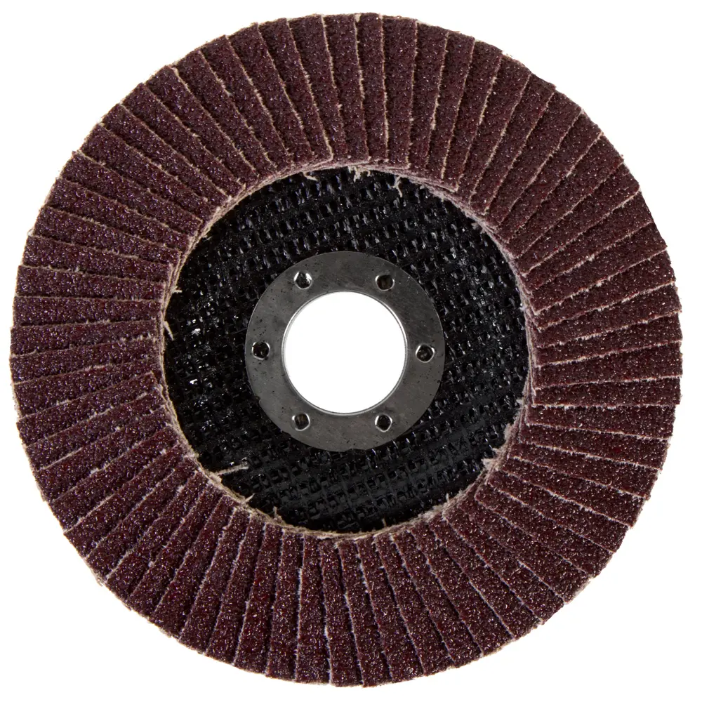 Круг лепестковый угловой Р40, 125х22 мм Santreyd STLM-2090279