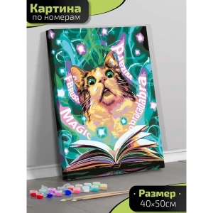 Картина по номерам Fbrush Волшебник 40x50 см