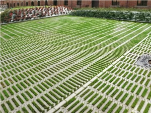 CEDA Бетонная решетка, покрытая травой