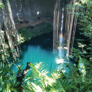 1338/CX38 Картина 0121 Adriani e Rossi