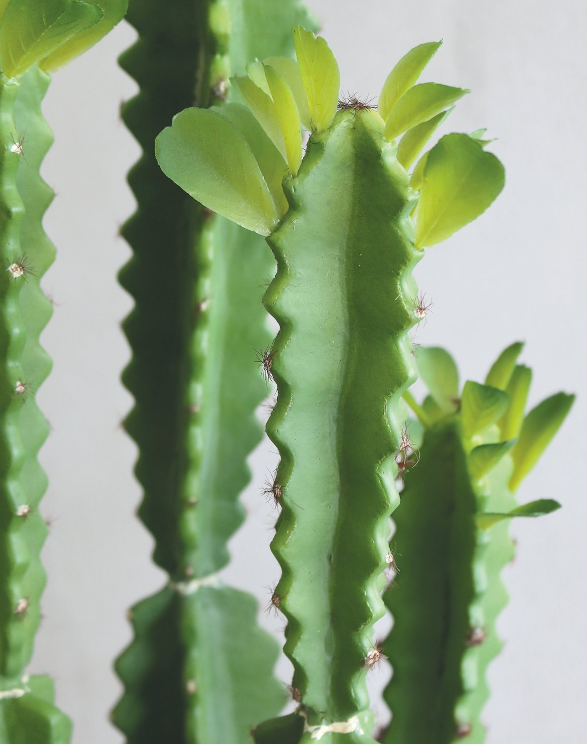 6062 883 a3 Молочай искусственный тригона, горшечный, 71 см, зеленый H-andreas  - Вид №2