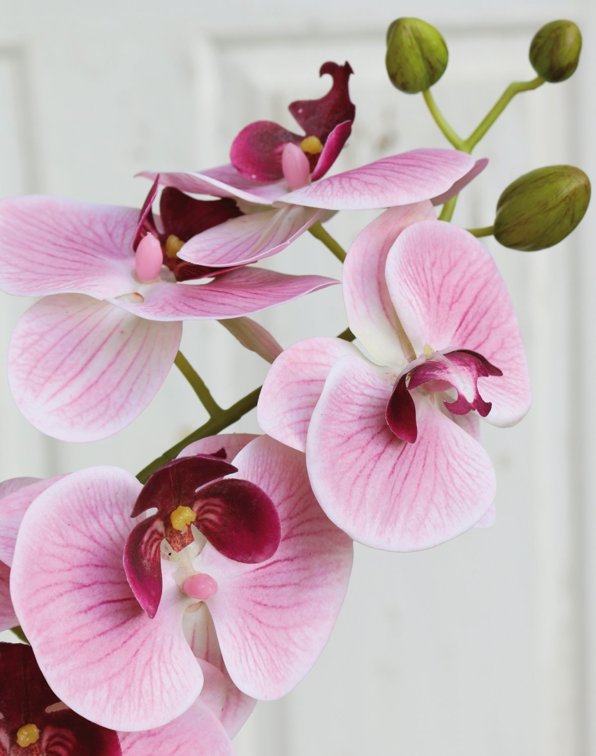 2853 510 a3 Искусственная орхидея Phalaenopsis, 106 см, real touch soft, роза H-andreas  - Вид №4