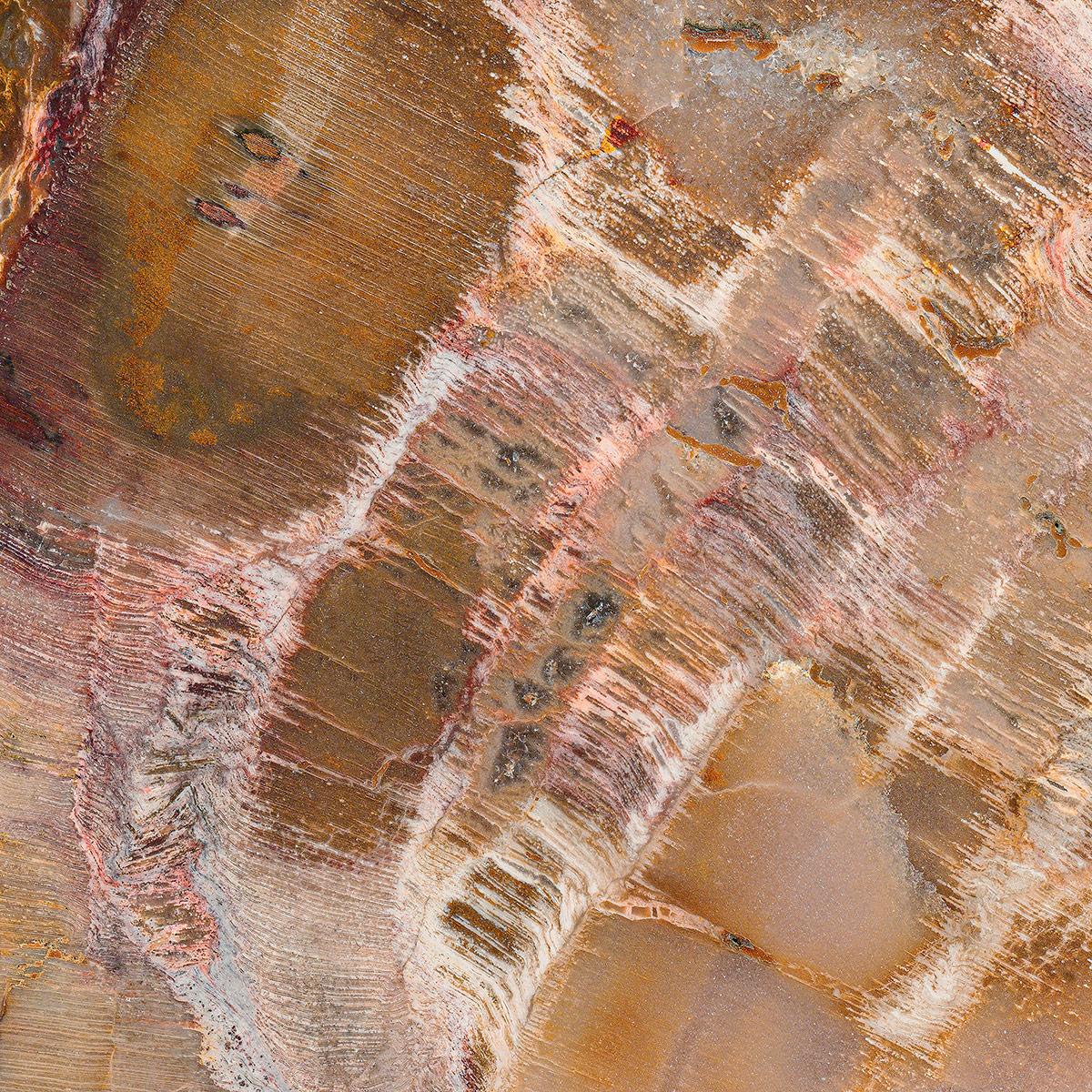 SICIS Marmorato Cotto Cro Spathula sun-id-1991113