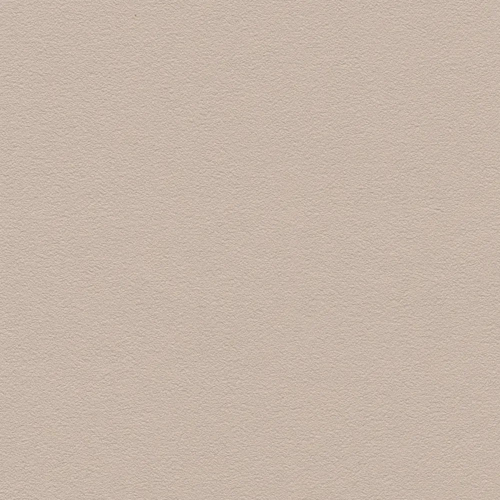 Обои флизелиновые Rasch Францгеом бежевые 0.53 м 607796 STLM-2194787 - Вид №1