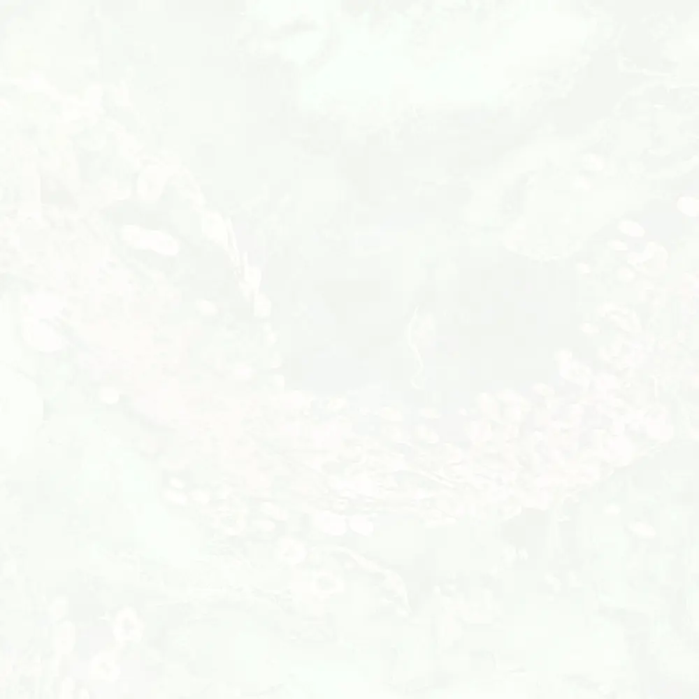 Обои флизелиновые Wallsecret Veneciano белые 1.06 м 8810-20 STLM-2134865 - Вид №1