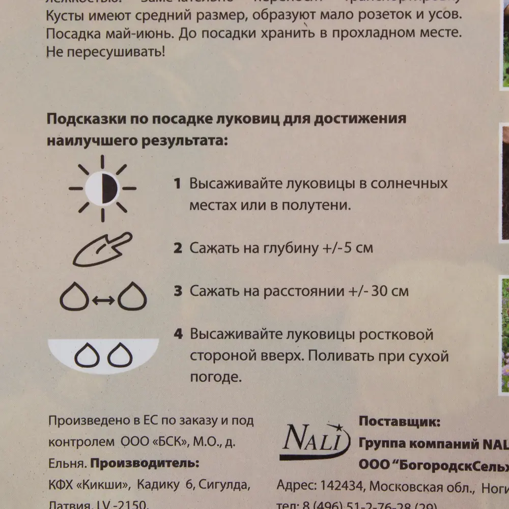 Клубника Элсанта I (3) 15618356 STLM-2003539 Santreyd  - Вид №3