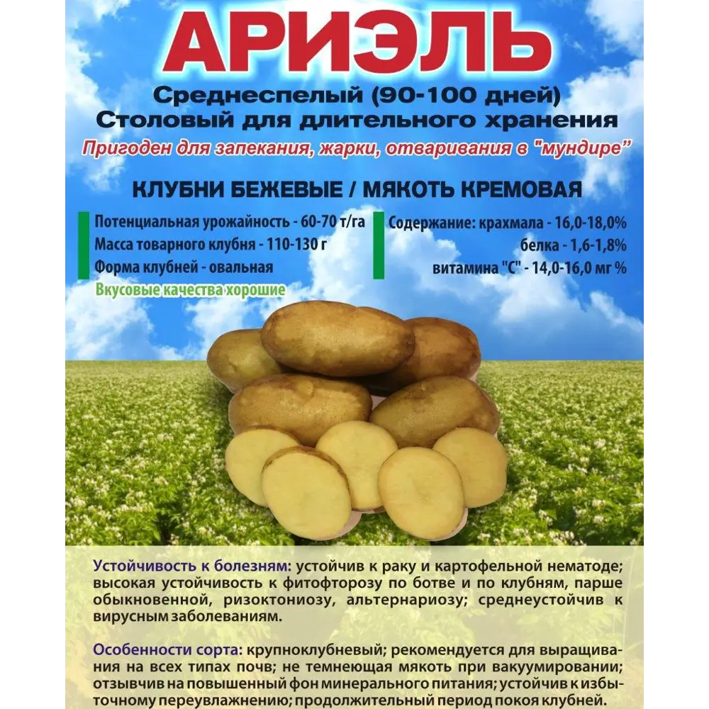 Картофель Ариэль Суперэлита 2 кг Santreyd STLM-2076190