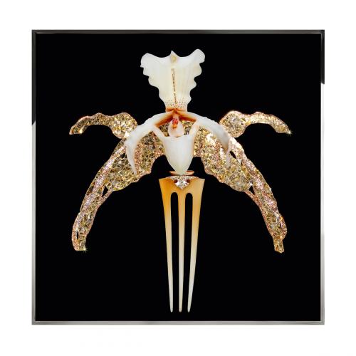 Orchidea Lalique Смешанная техника Visionnaire 