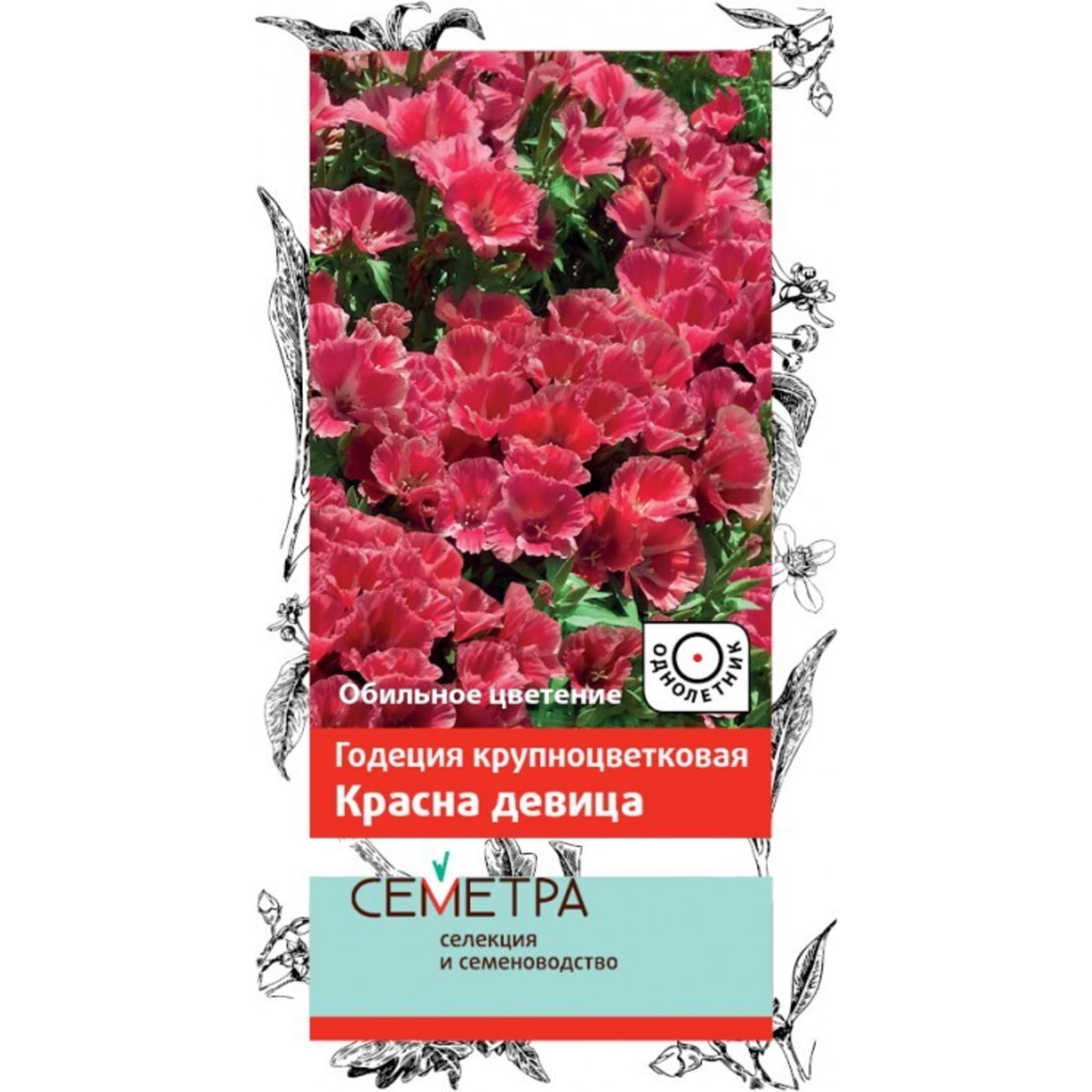 83147201 Семена Годеция крупноцветковая «Красна Девица» Santreyd 