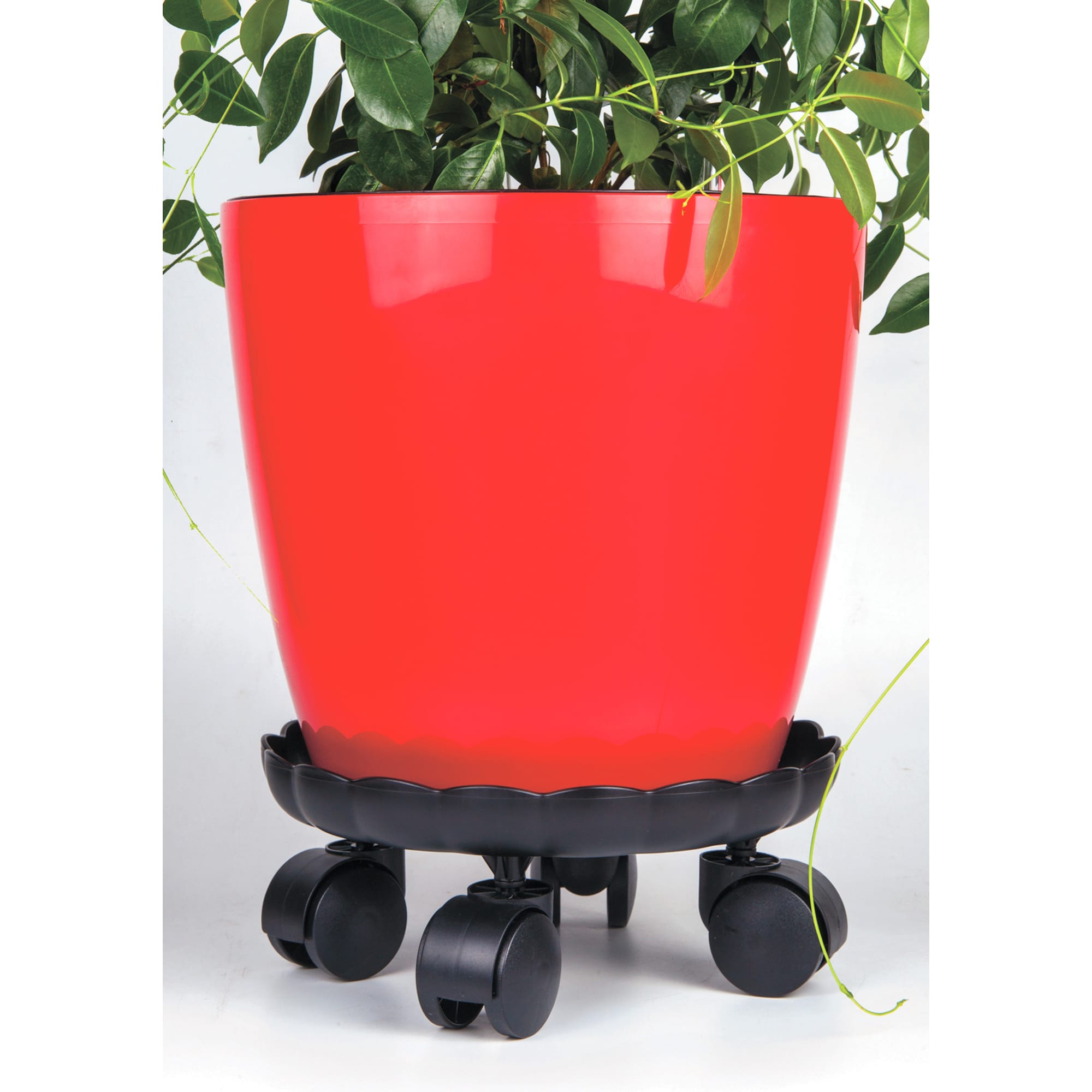 89082013 Подставка на колесиках для кашпо ø33 см пластик Santreyd  - Вид №1