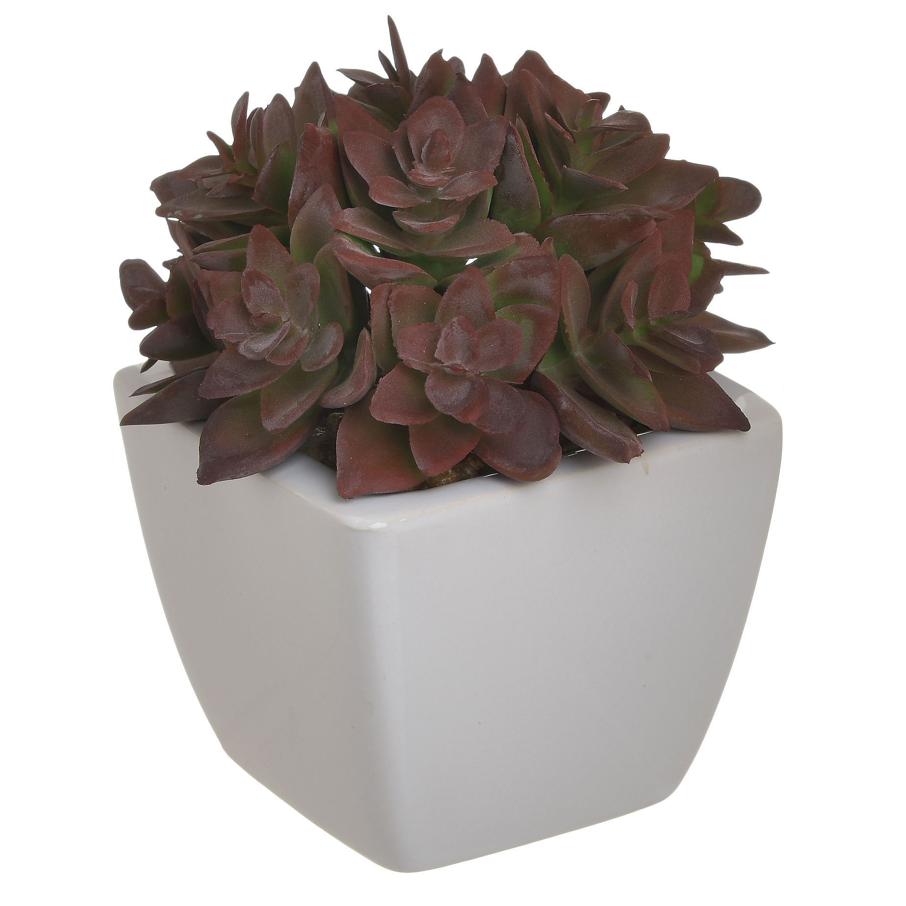 3885084.0102 ИСКУССТВЕННЫЙ ЦВЕТОК В КАШПО TO4ROOMS  - Вид №1